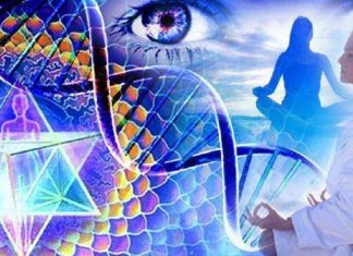 La Requête de votre Âme : Votre Nouveau Départ